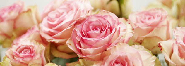 Die geistigen Grundlagen der Transformationsarbeit