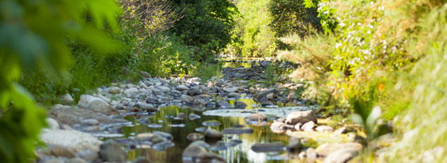 Inspirierende Geschichten ausgewählt von Robert Betz